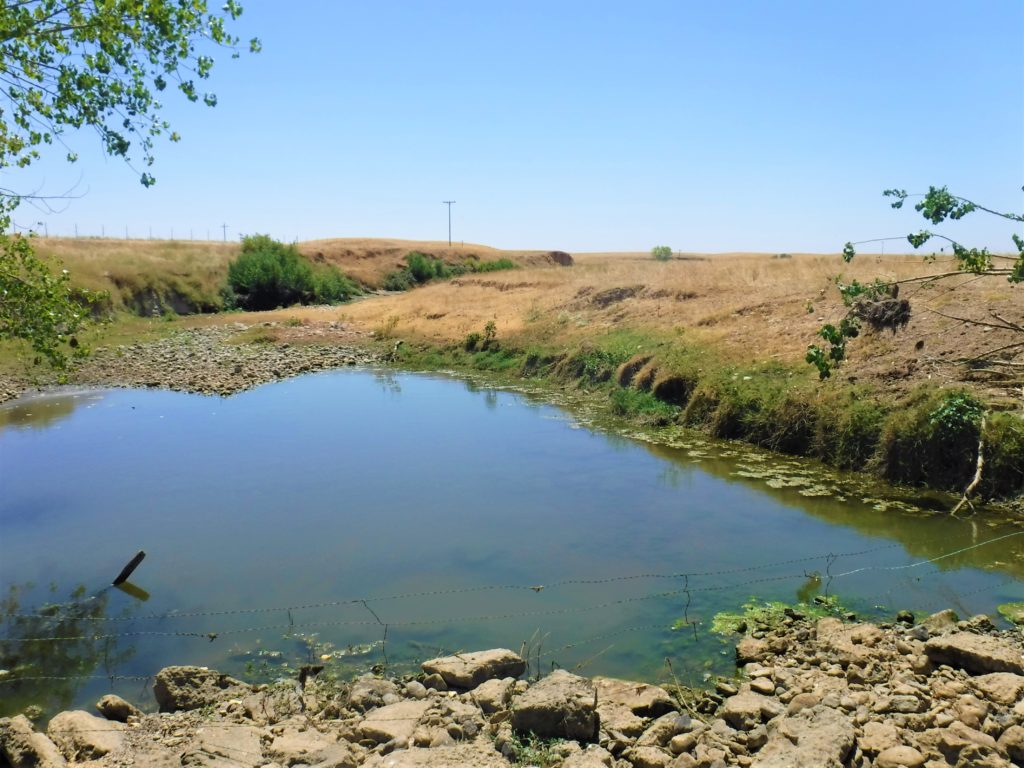 Where We Work | California Rangeland Trust | Land Trust